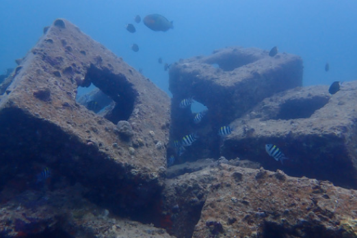 魚礁設置状況の確認